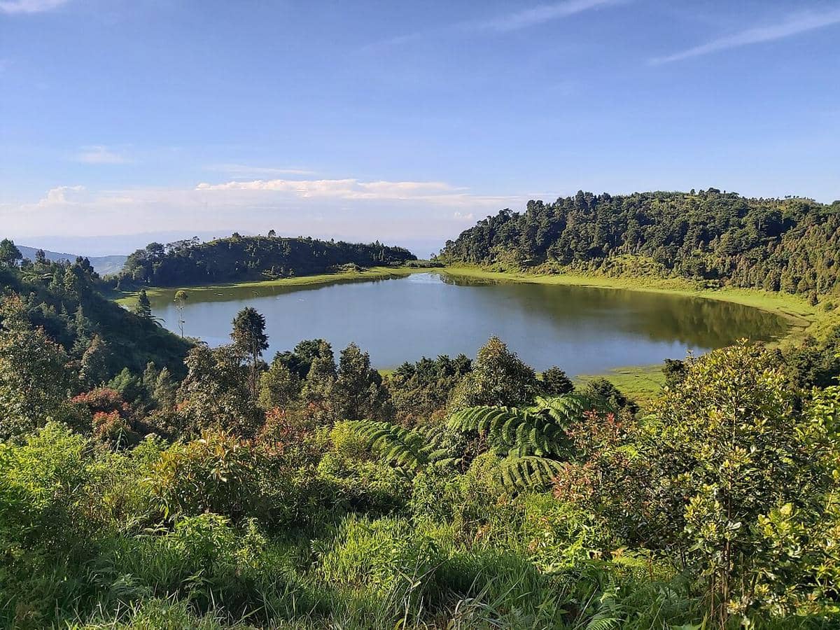 Telaga Dringo