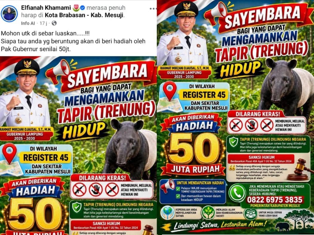 Sayembara Amankan Tapir Hidup di Mesuji Berhadiah Rp50 Juta