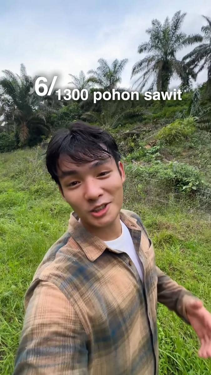 Seorang pria mengenakan kemeja kotak-kotak berdiri di area perkebunan sawit dengan tulisan 6 dari 1300 pohon sawit di latar belakang.