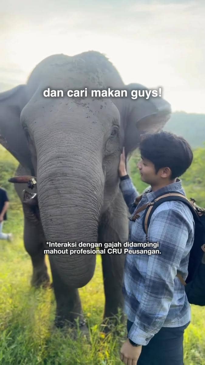 Seorang pria berinteraksi dengan seekor gajah di alam terbuka, didampingi mahout profesional dari CRU Peusangan.