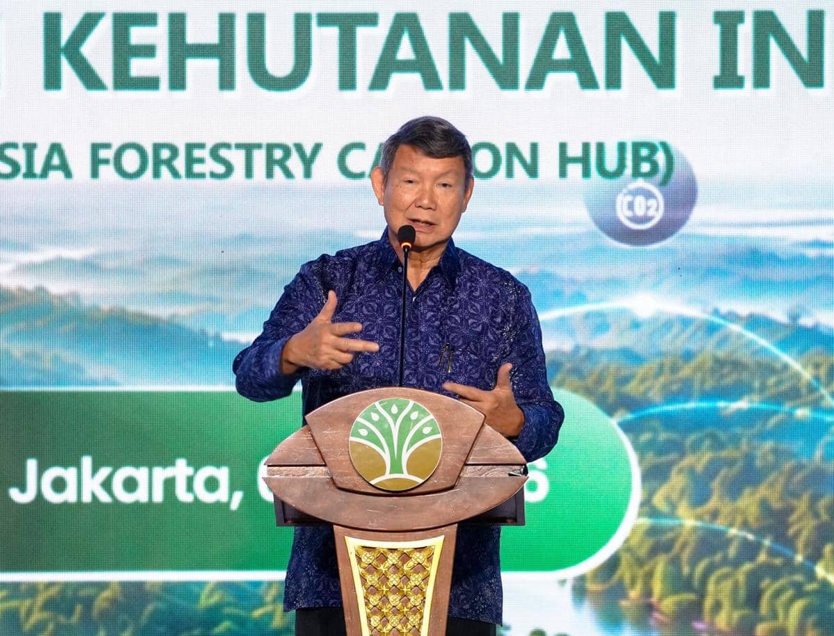 Hashim: Perdagangan Karbon Kehutanan Paling Cepat dan Sempurna