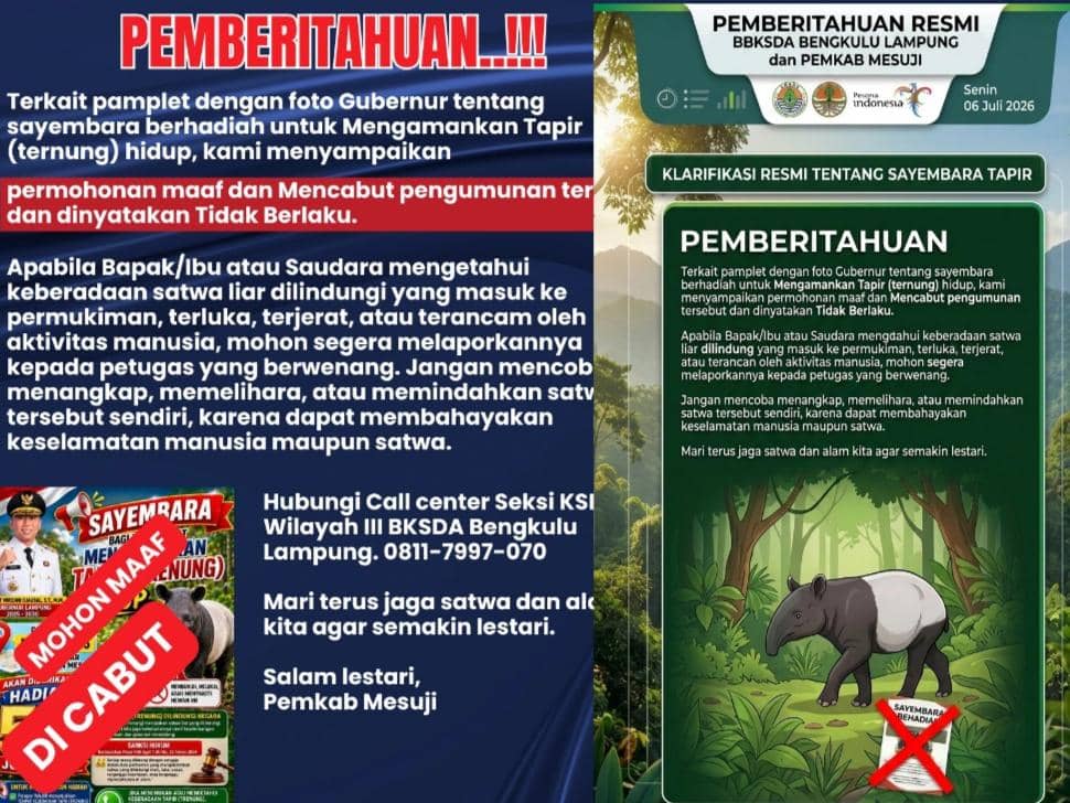 Sayembara Amankan Tapir Hidup Berhadiah Rp50 Juta Batal, Ini Alasannya