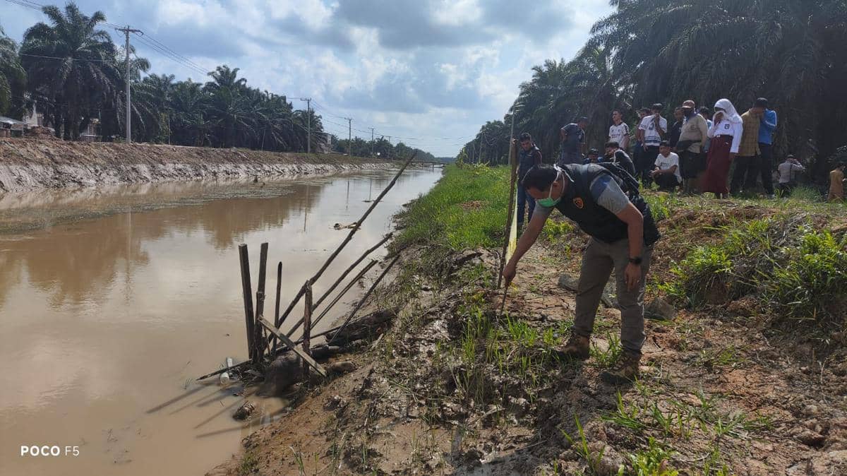 Personel Polsek Babat Supat saat mengevakuasi jasad pria tanpa identitas di Parit Primer.