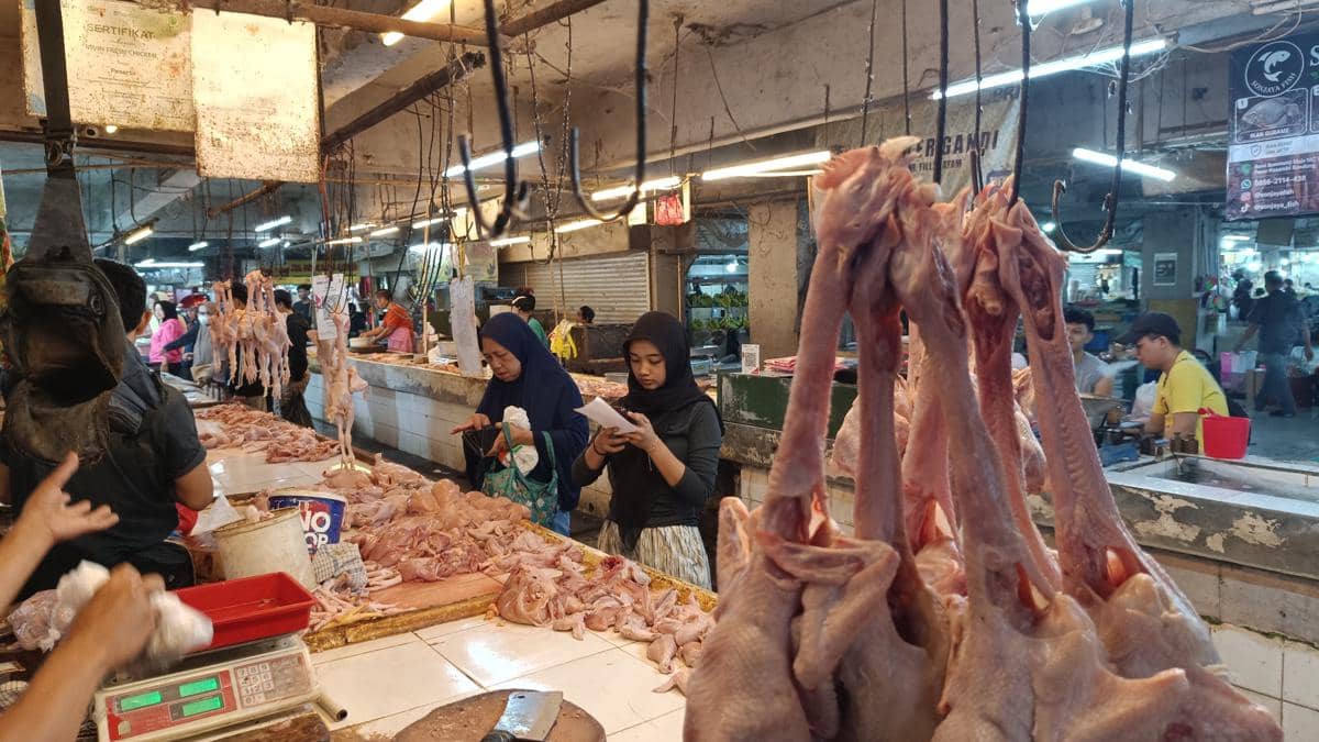 Dapur MBG Libur, Harga Ayam, Telur, hingga Jeruk di Bandung Turun 