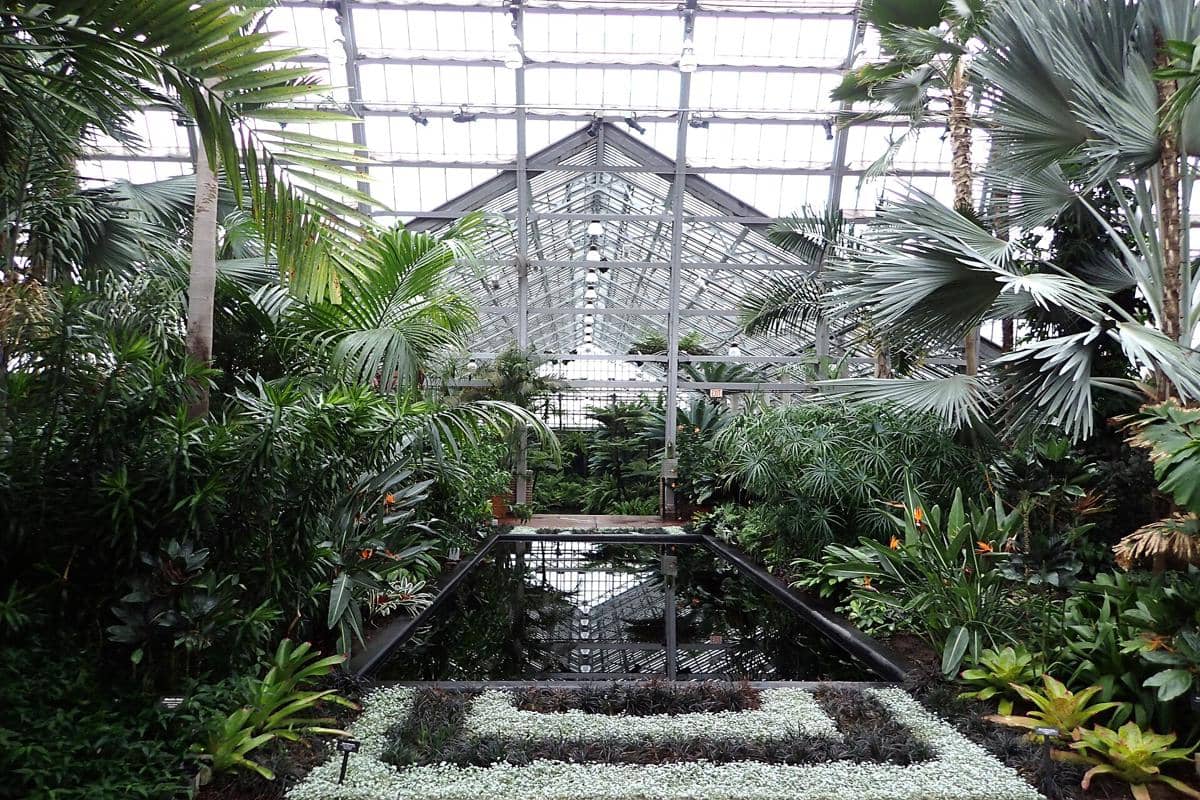 5 Hidden Gems di Chicago buat Wisata Murah saat Piala Dunia 2026