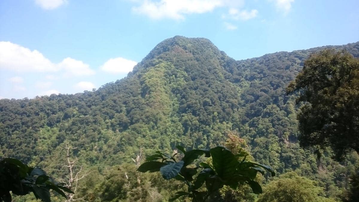 Gunung Muria