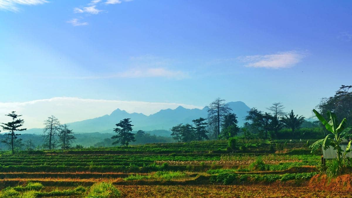Panduan Mendaki Gunung Muria dengan Aman, Catat!