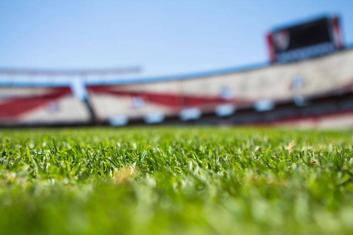 3 Fakta Rumput Manila, Andalan Lapangan Bola di Negara Tropis