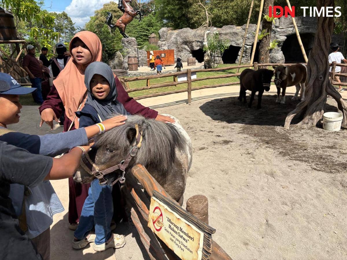 Pony Park Dibuka di Klaten, Tawarkan Interaksi dengan Puluhan Satwa