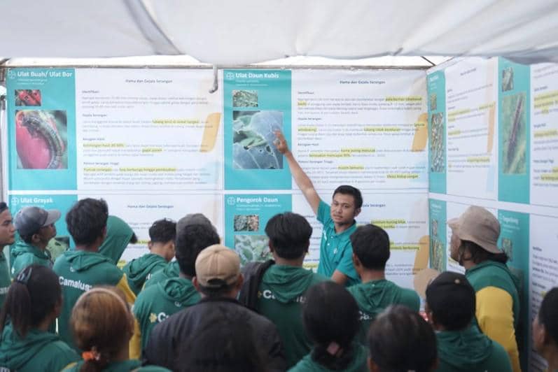 Seorang agronomis Bayer Indonesia memberikan penjelasan kepada sekelompok petani tentang hama tanaman di Desa Mardinding, Simalungun.
