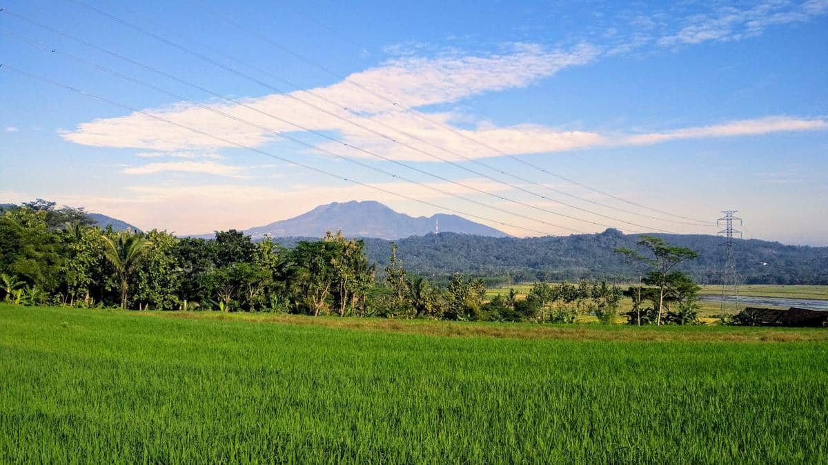 Gunung Ungaran