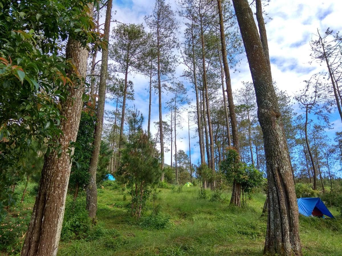 Gunung Ungaran