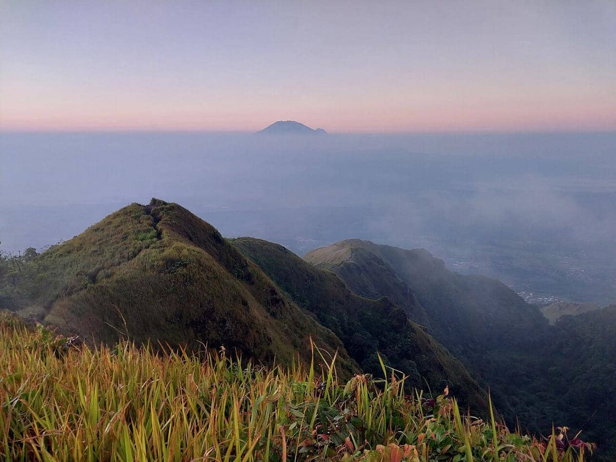 Jalur Pendakian Gunung Ungaran Via Perantunan, Treknya Adem nan Asri!