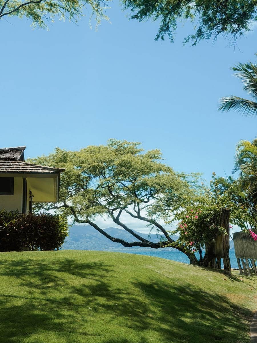 Patricia Gouw liburan di Hawaii