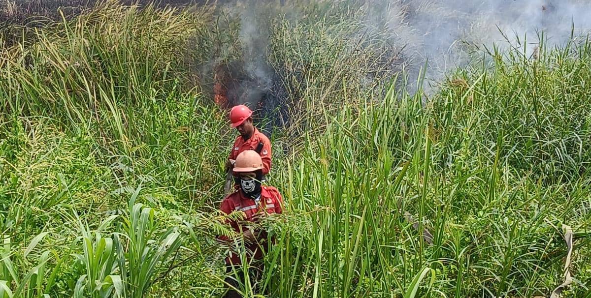 Karhutla Hanguskan 10 Ha Lahan di Ogan Ilir, Sampai Ganggu Lalu Lintas