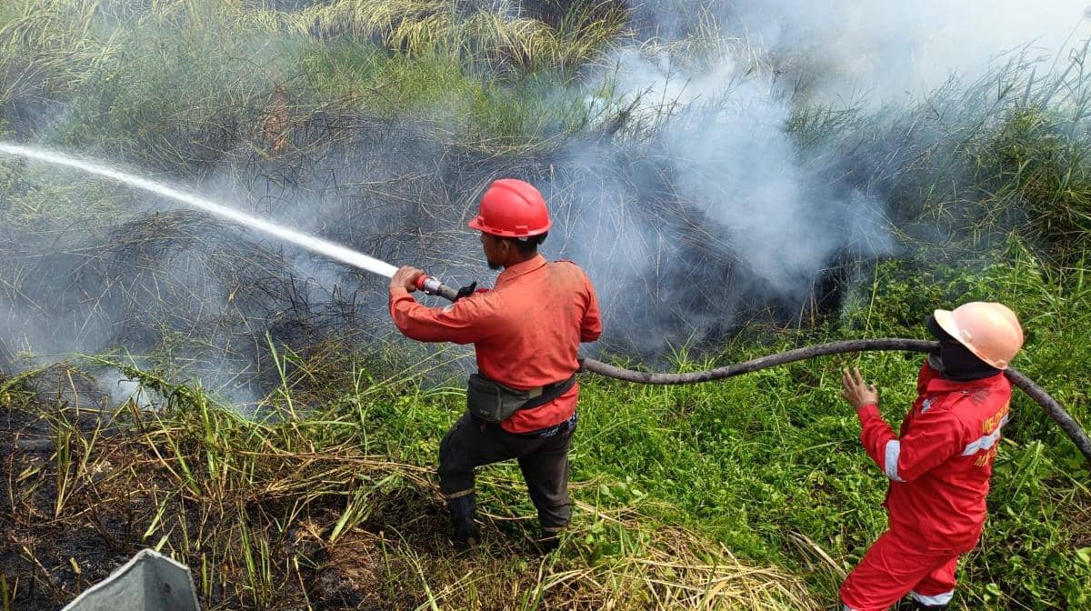 Lokasi kebakaran di wilayah Desa Pulau Semambu dan Desa Sungai Rambutan, Kecamatan Indralaya Utara, Rabu (8/7/2026).
