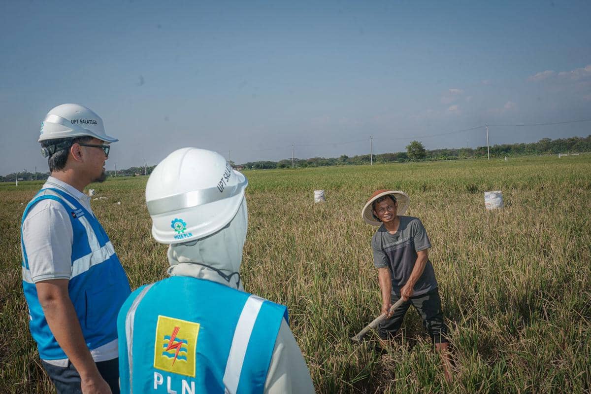 pln, petani, pompa listrik, pertanian