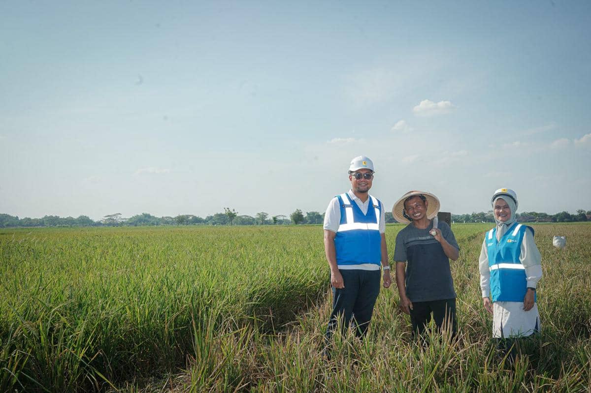 pln, petani, pompa listrik, pertanian
