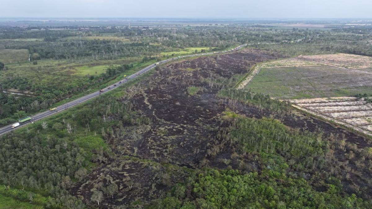 Lokasi kebakaran di wilayah Desa Pulau Semambu dan Desa Sungai Rambutan, Kecamatan Indralaya Utara, Rabu (8/7/2026)