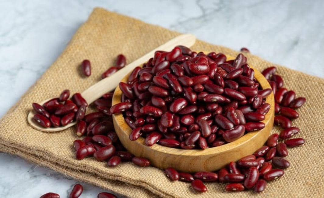 Tumpukan kacang merah kering berwarna merah kecokelatan sebagai bahan pangan kaya nutrisi untuk masakan.