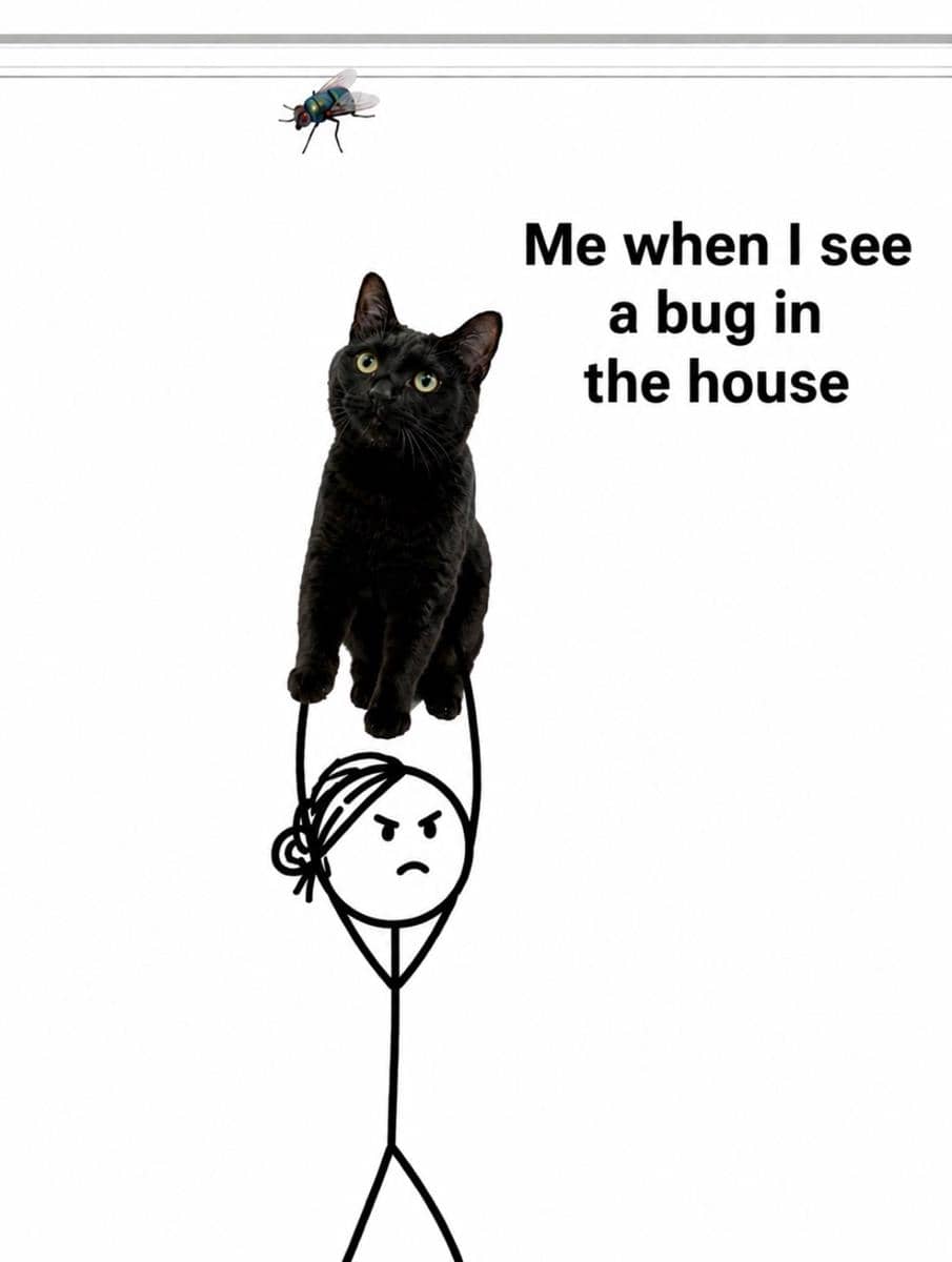 meme kucing tentang serangga