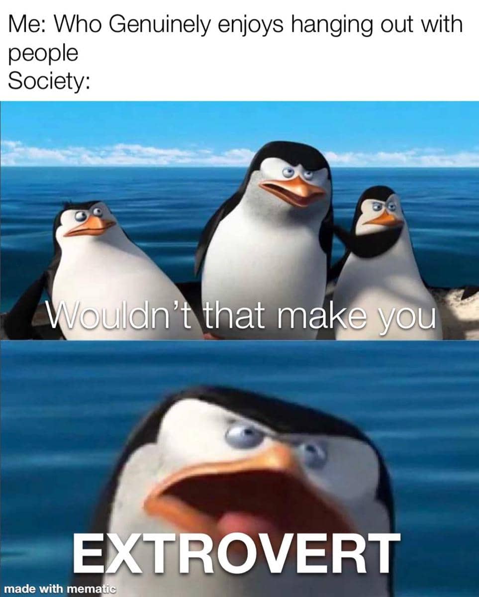 meme kartun tentang ekstrover