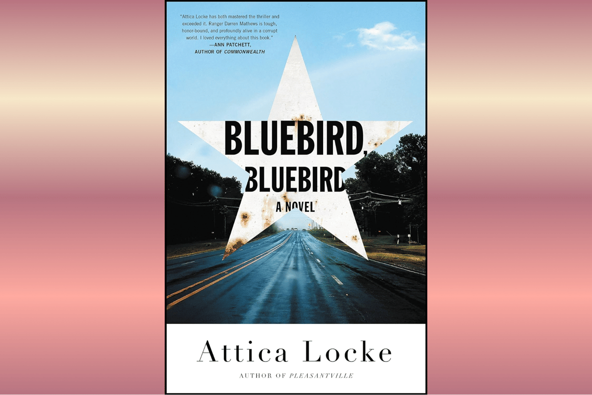 Bluebird, Bluebird.