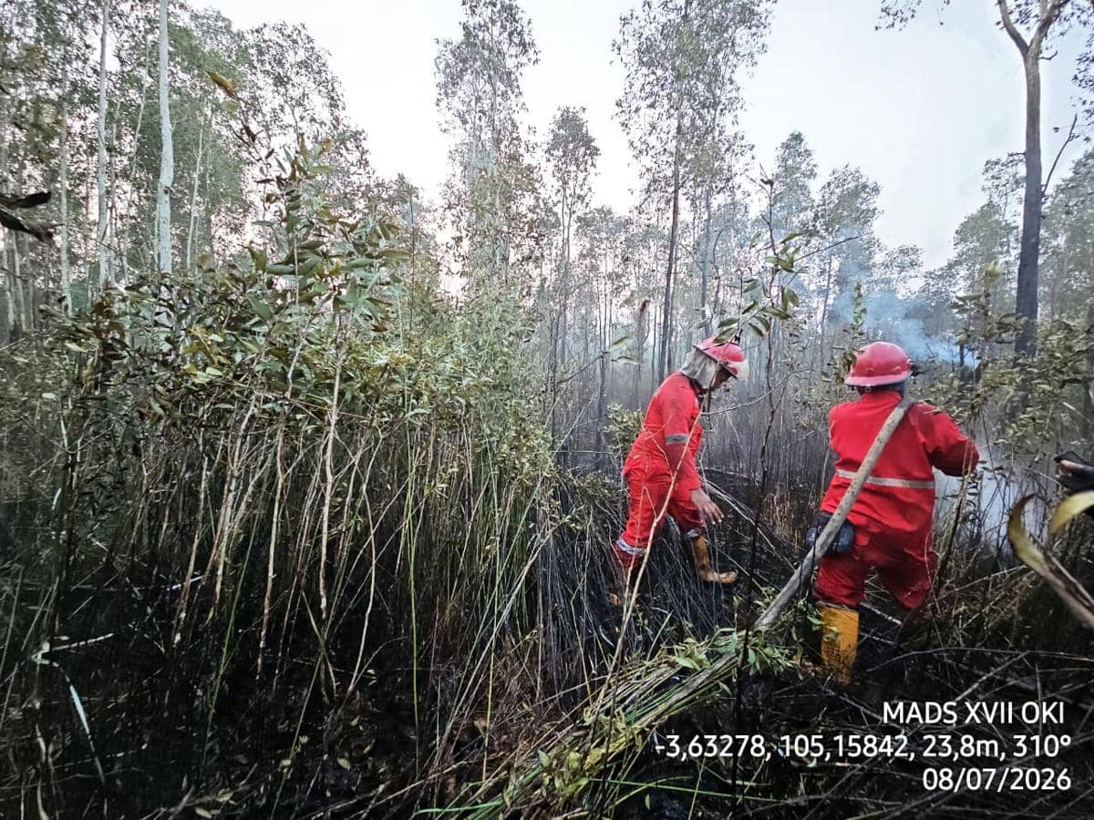 Api Membara di Gambut OKI, Potensi Karhutla Sepekan ke Depan Meningkat