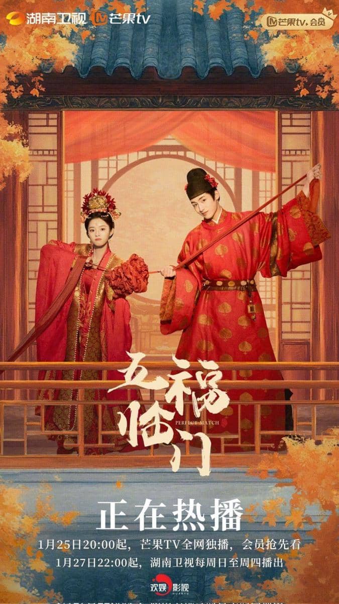 poster Perfect Match