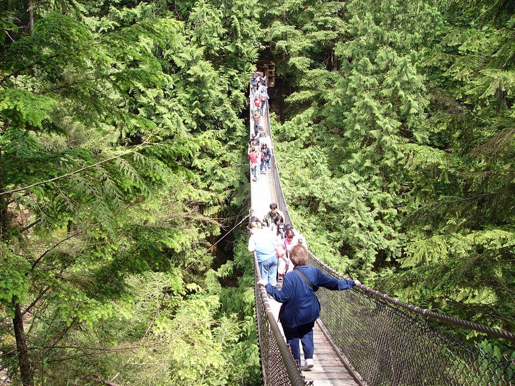 Potret Lynn Canyon Park