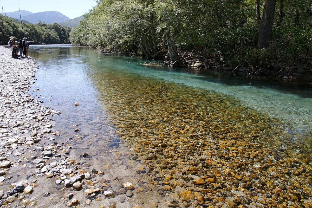 ilustrasi Sungai Azusa