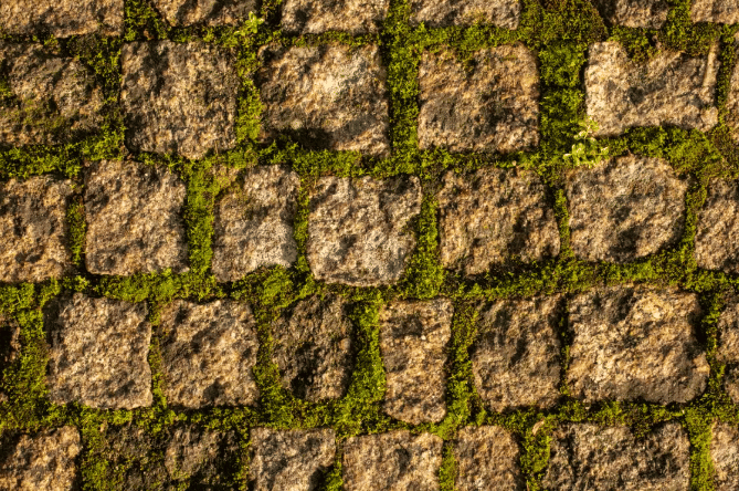 5 Cara Alami Basmi Gulma di Celah Paving, Gak Perlu Pakai Bahan Kimia!