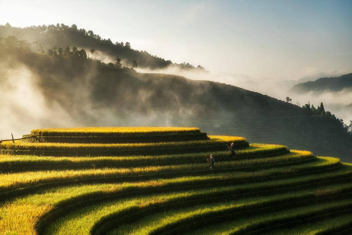 Mu Cang Chai, Vietnam