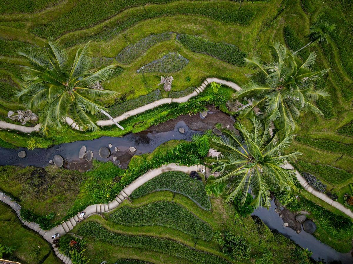 potret kawasan Tegallalang, Bali