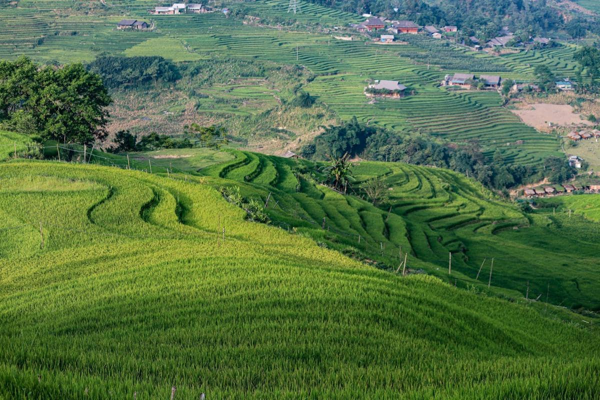5 Sawah Terasering Terbesar dan Terindah di Asia Tenggara