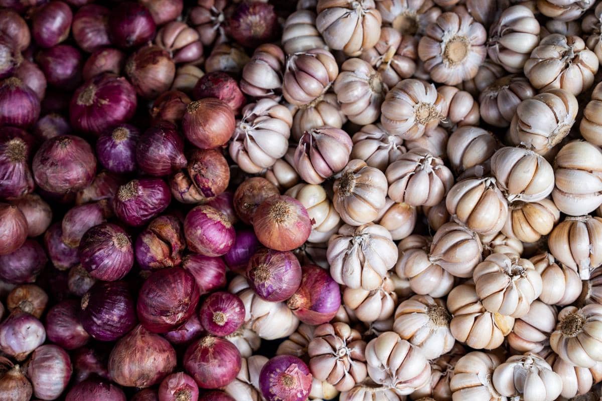 Stop Simpan Bawang dan Tomat di Kulkas! Cara yang Benar Agar Tak Cepat Busuk