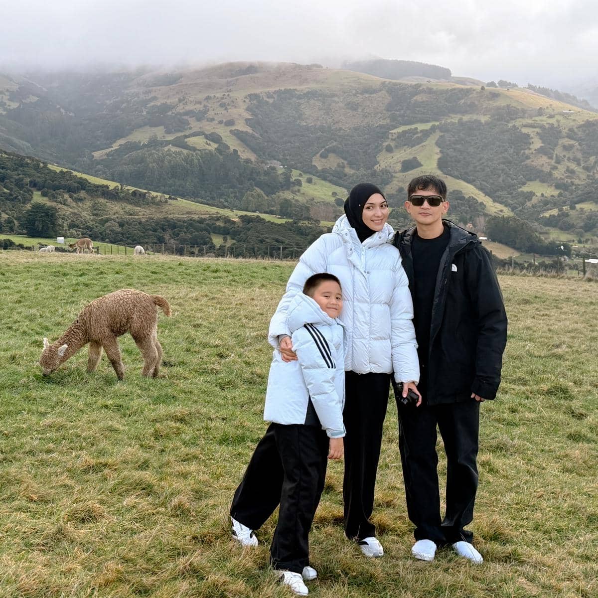 Keluarga Citra Kirana main dengan alpaka di New Zealand