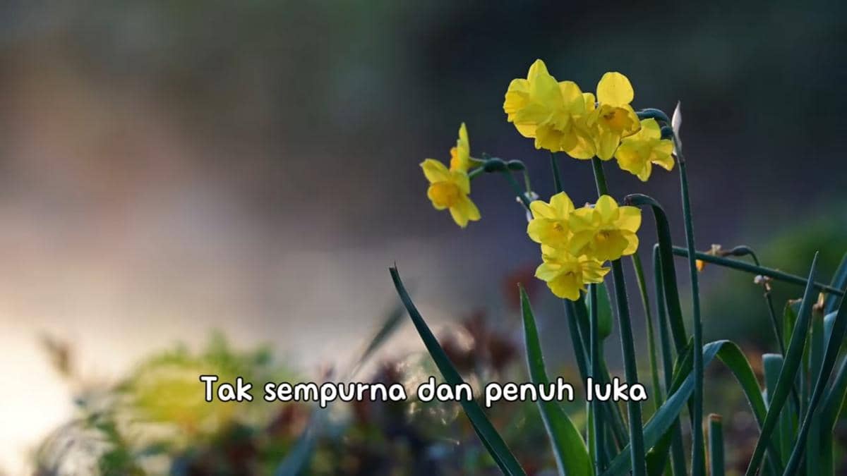 cuplikan video klip "Apa Adanya"