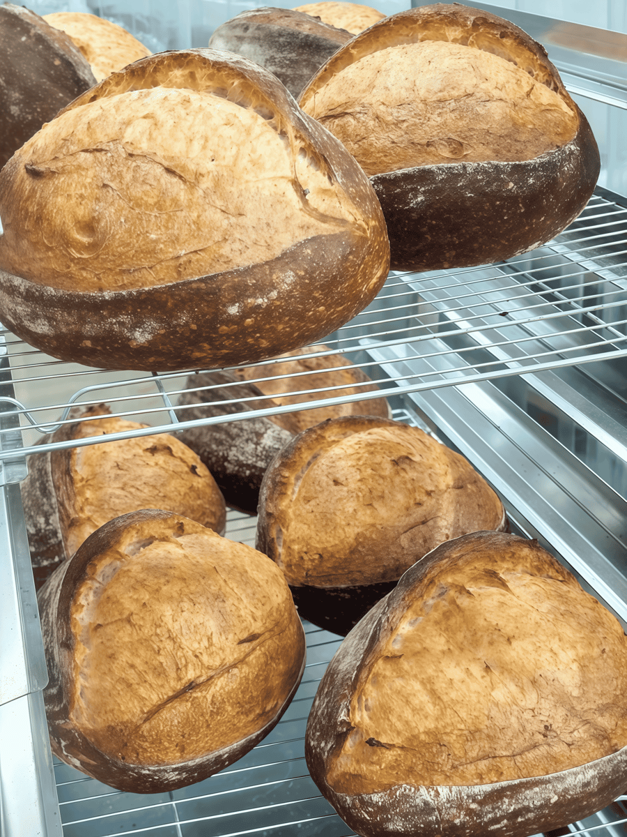 potret sourdough dari Pasco Sourdough Semarang