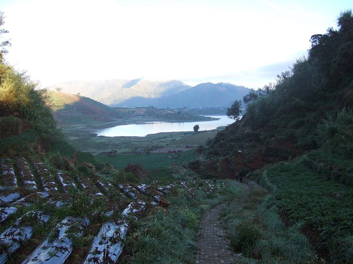 Telaga Cebong