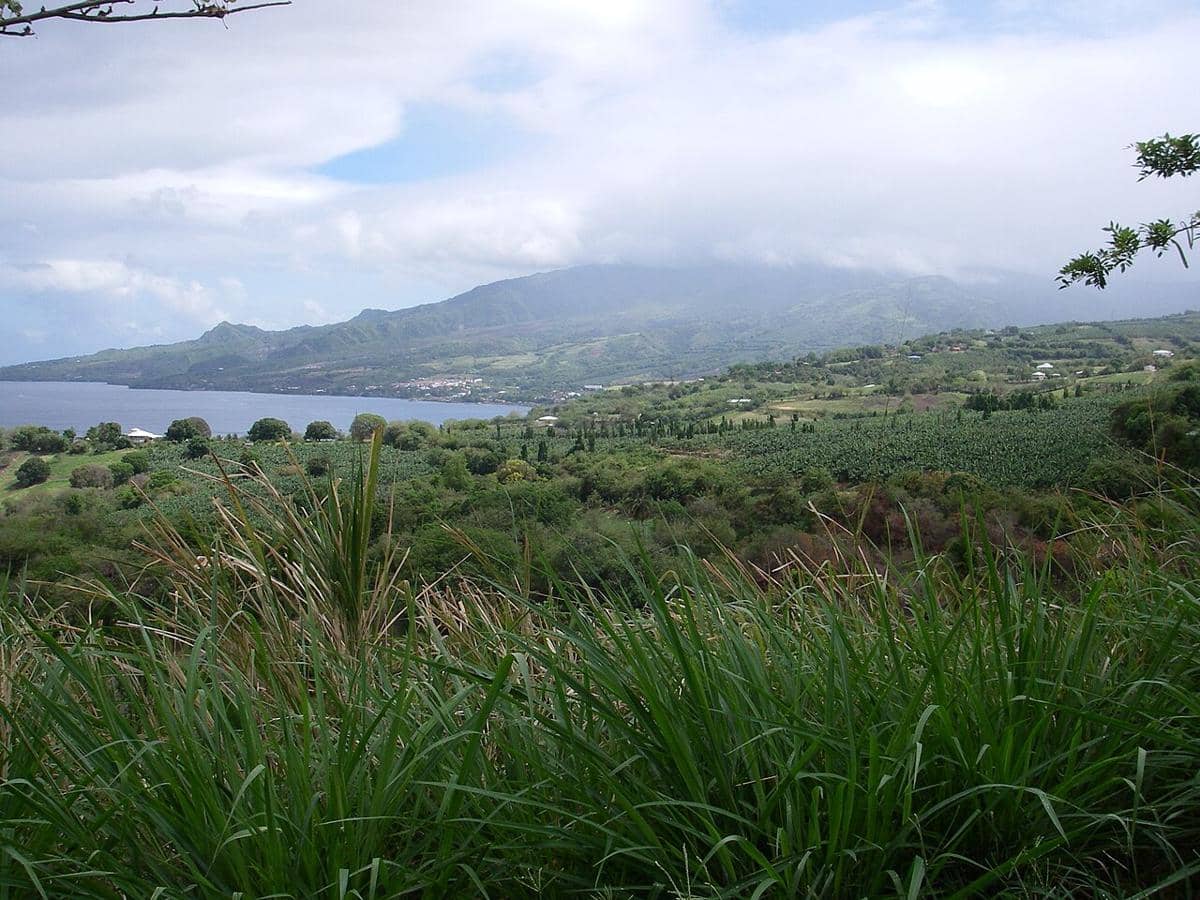Gunung Peele