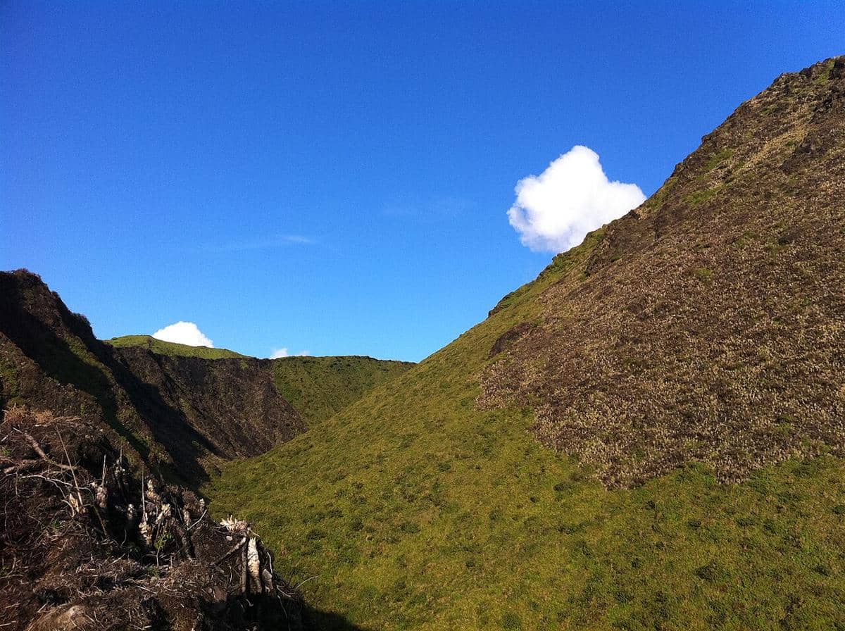 Gunung Peele