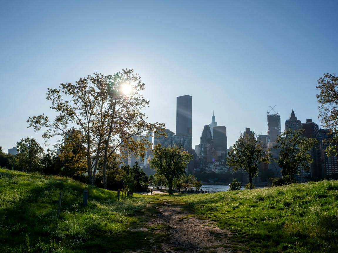ilustrasi suasana di Roosevelt Island