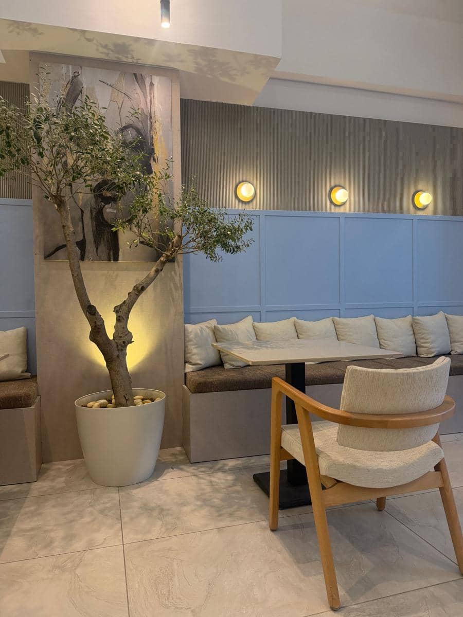 olive tree
