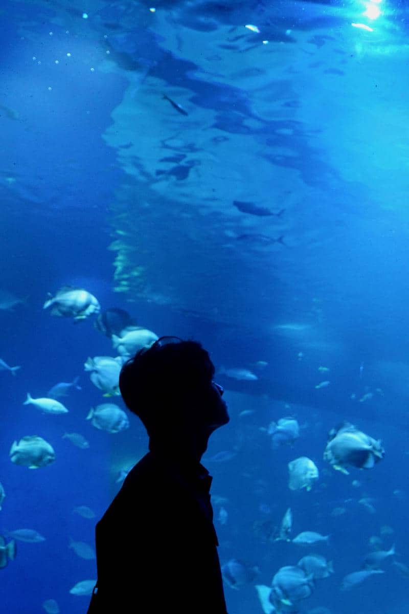 [PUISI] Membungkus Kasih di Ujung Kisah Lautan Biru