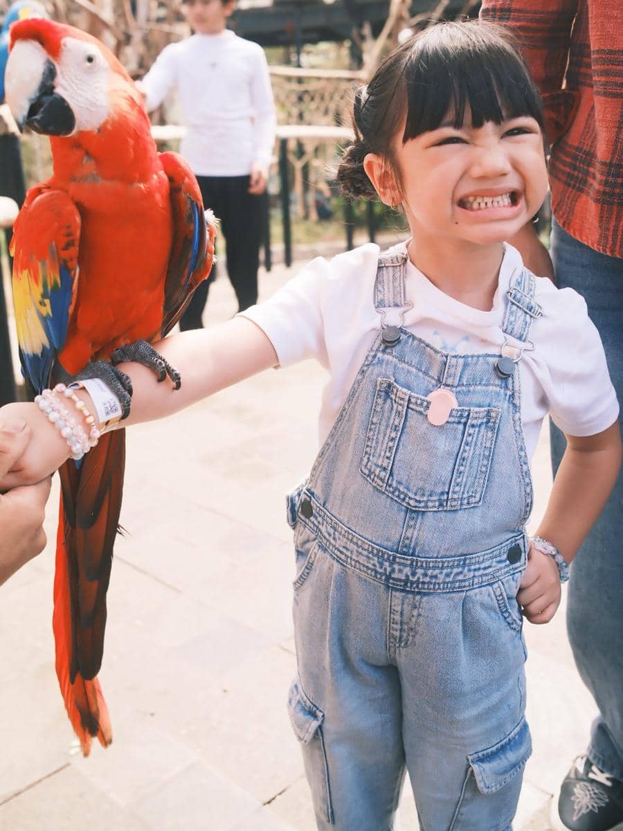Keluarga Felicya Angelista ke Lembang Park Zoo