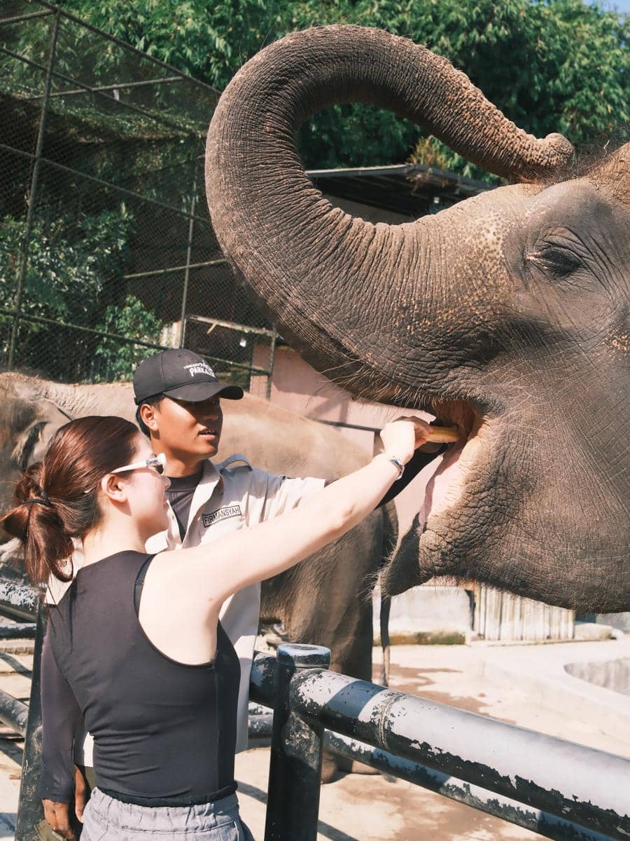 Keluarga Felicya Angelista ke Lembang Park Zoo