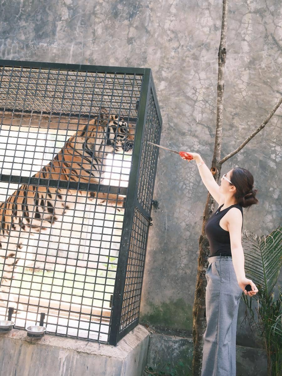 Keluarga Felicya Angelista ke Lembang Park Zoo