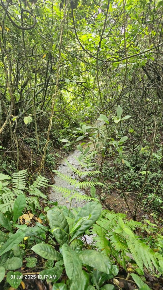 Kondisi sungai yang menyempit dan tercemar.