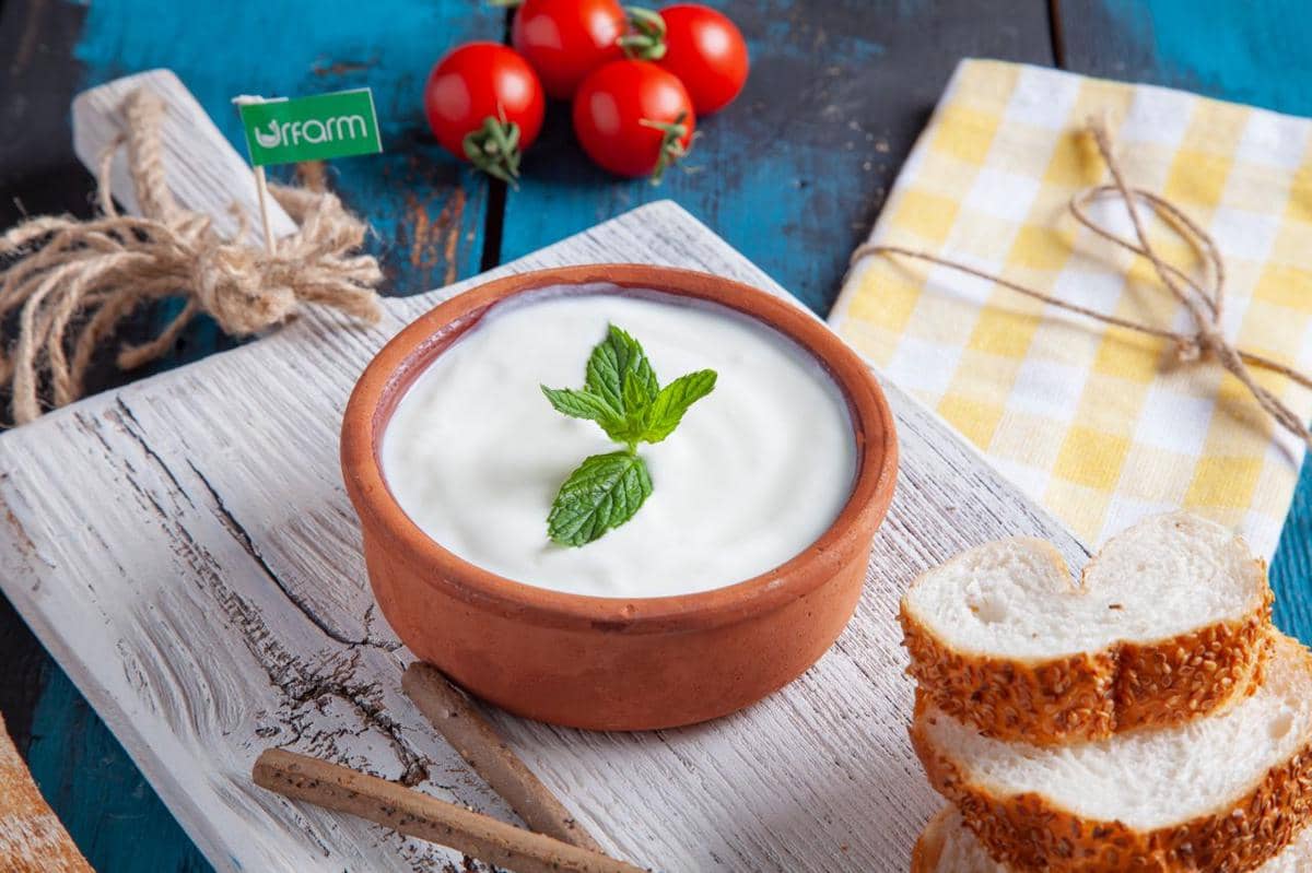 ilustrasi yogurt